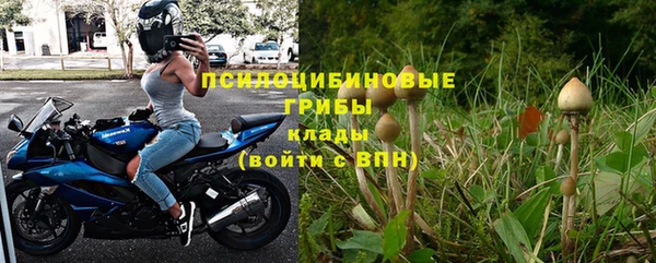 СК Бронницы