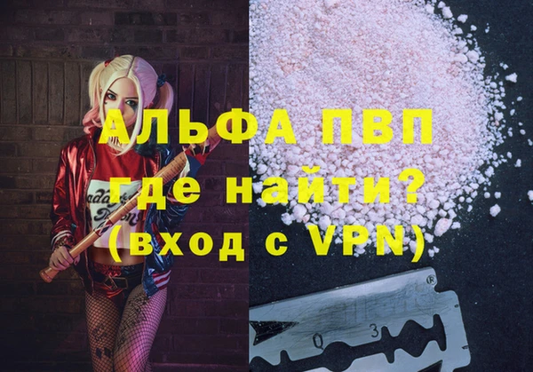 СК Бронницы