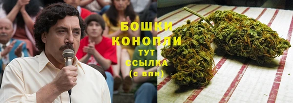 СК Бронницы