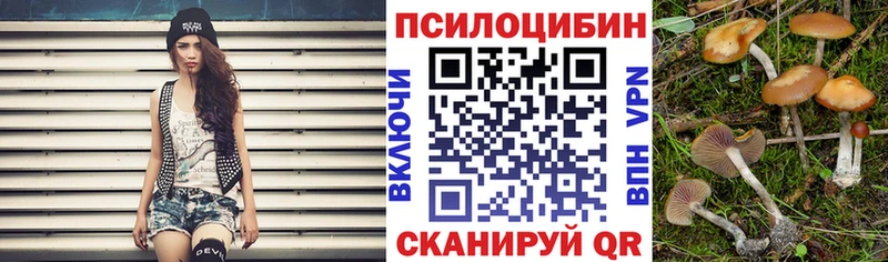 Галлюциногенные грибы Magic Shrooms  Купить  Карабулак 